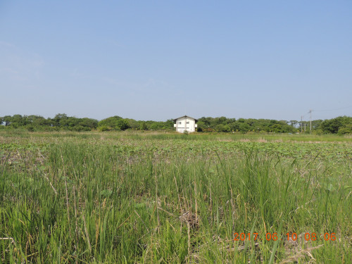 DSCN9978.JPG