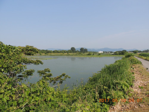 DSCN9979.JPG
