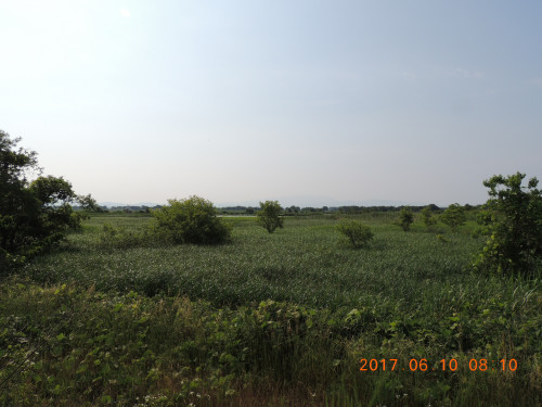 DSCN9980.JPG