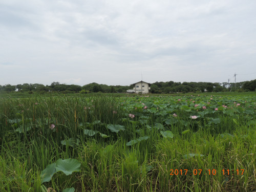 DSCN9915.JPG
