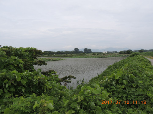 DSCN9917.JPG