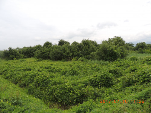 DSCN9920.JPG