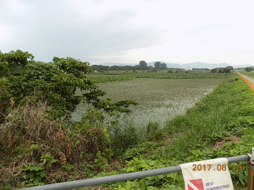 DSCN9344.JPG