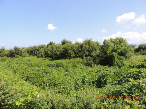 DSCN9968.JPG