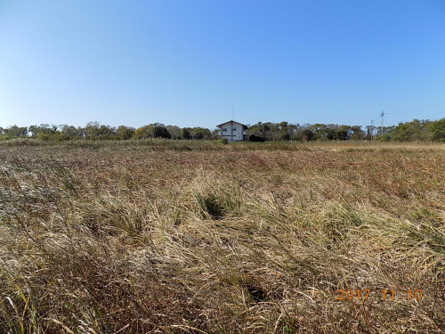 DSCN9595.JPG