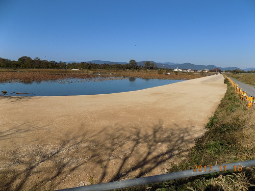 DSCN9596.JPG