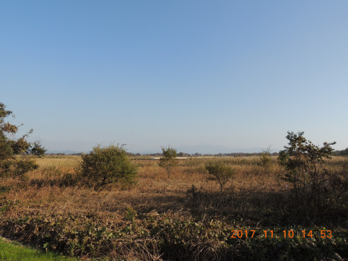DSCN9623.JPG