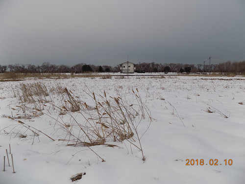 DSCN9712.JPG