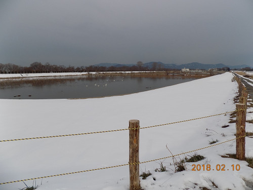 DSCN9713.JPG