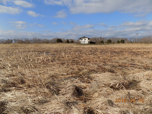 DSCN9730.JPG