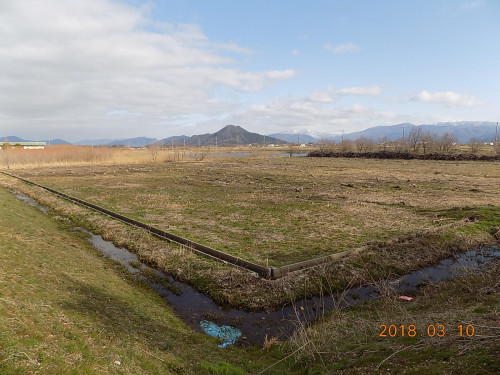 DSCN9735.JPG
