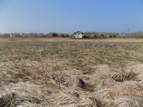 DSCN9784.JPG