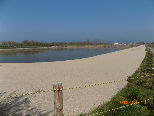 DSCN9785.JPG