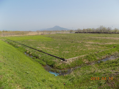 DSCN9791.JPG