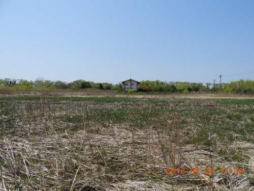 DSCN1277.JPG
