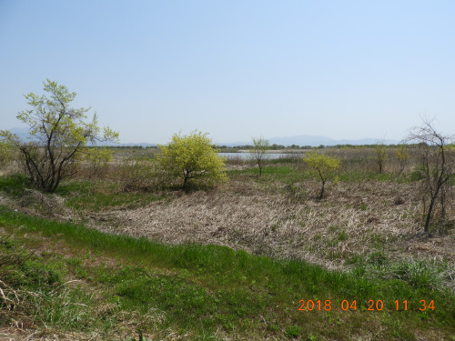 DSCN1280.JPG