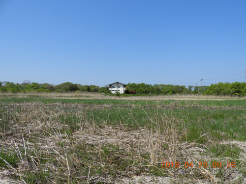DSCN0260.JPG