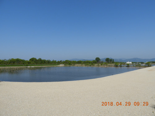 DSCN0262.JPG