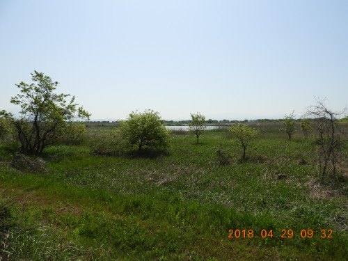 DSCN0263.JPG