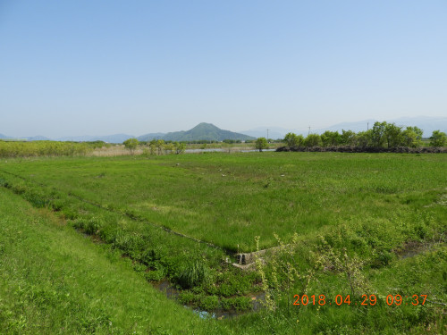 DSCN0266.JPG