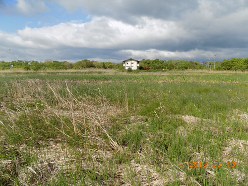 DSCN9870.JPG