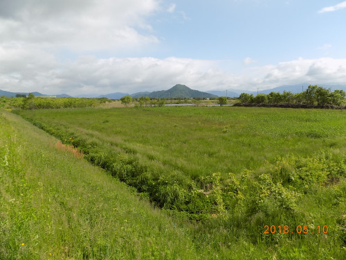 DSCN9875.JPG