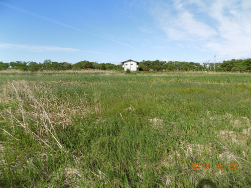 DSCN9878.JPG