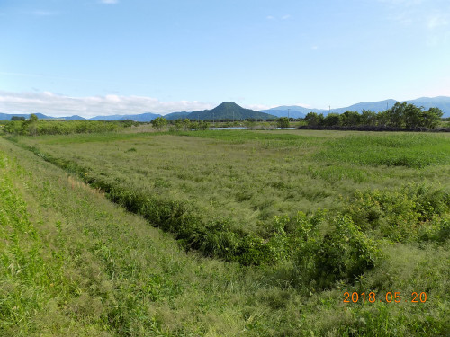 DSCN9883.JPG