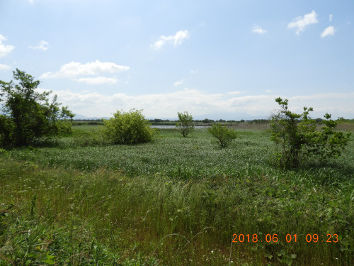 DSCN6086.JPG