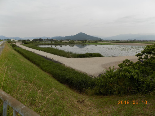 DSCN9890.JPG