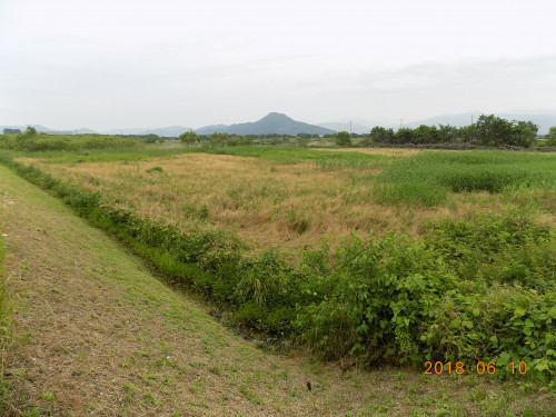 DSCN9891.JPG