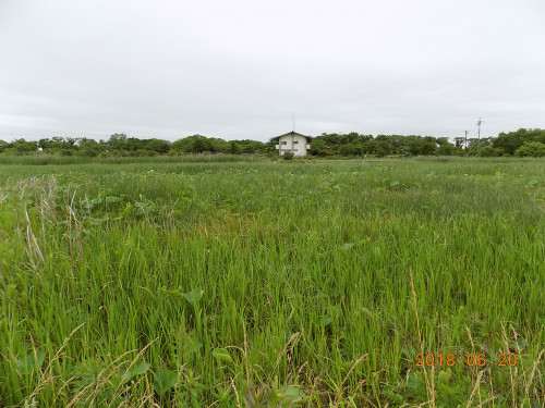 DSCN9895.JPG