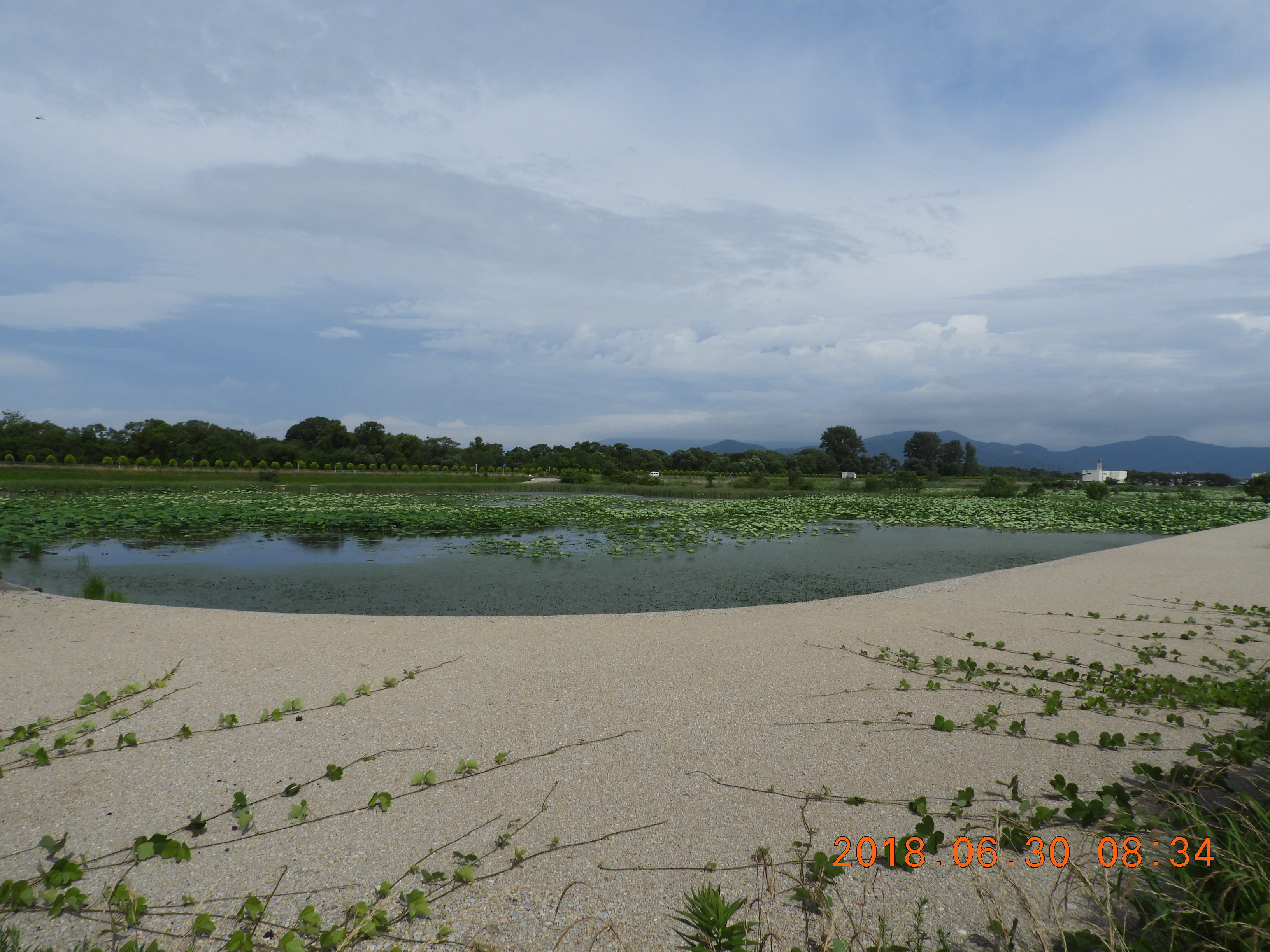 DSCN0817.JPG
