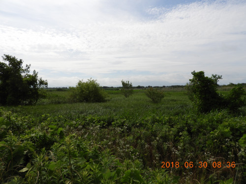 DSCN0818.JPG