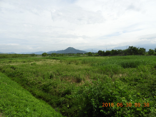 DSCN0895.JPG