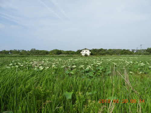 DSCN0958.JPG