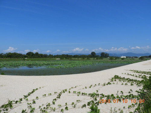 DSCN9912.JPG