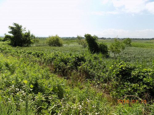 DSCN9905.JPG
