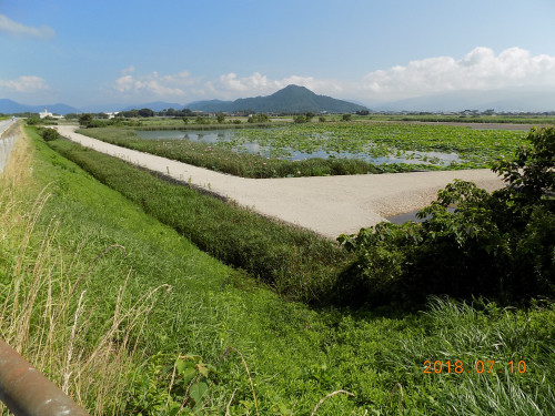 DSCN9907.JPG