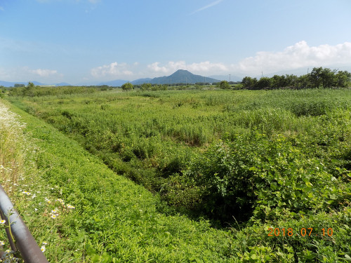 DSCN9908.JPG