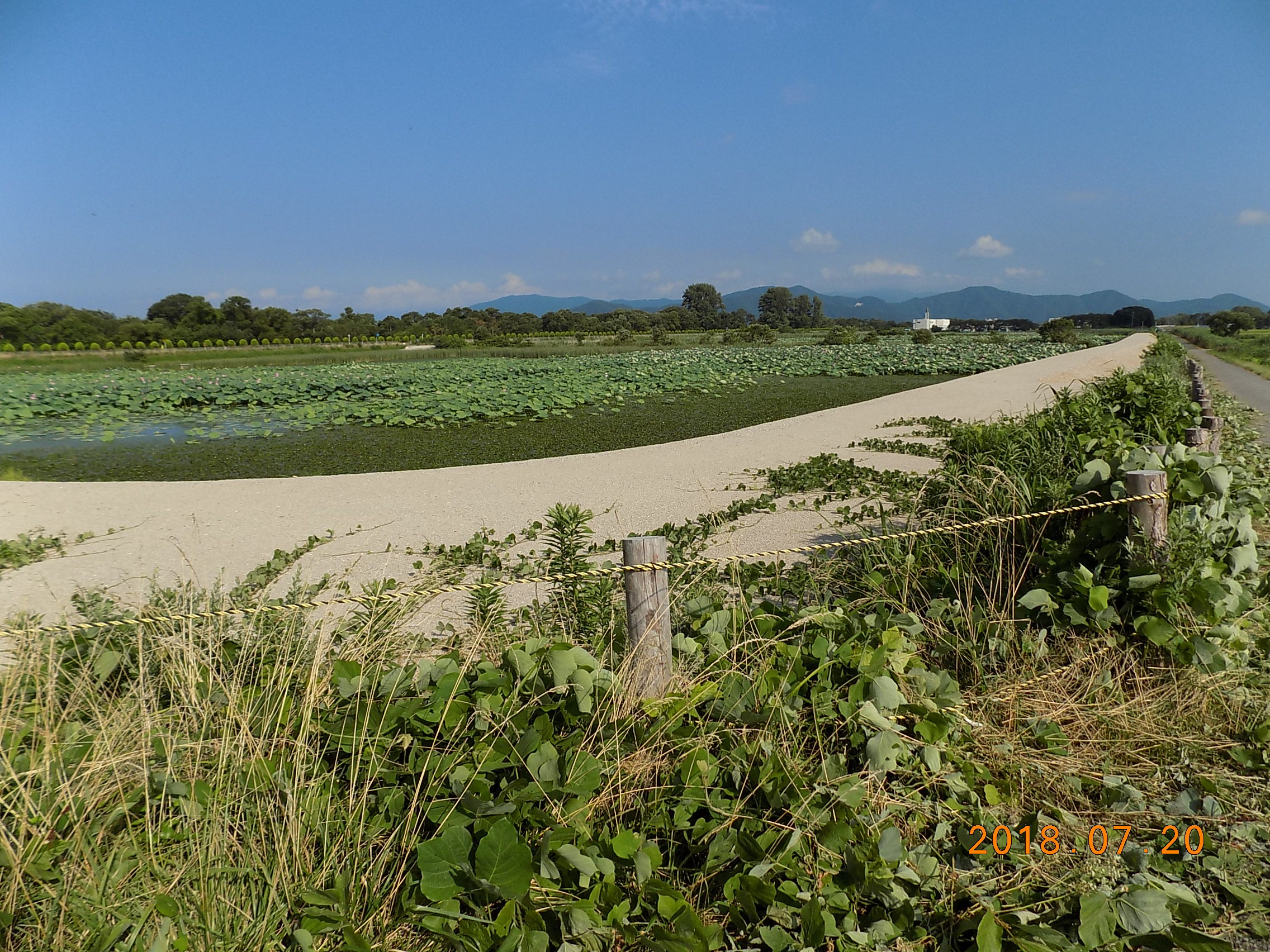 DSCN9912.JPG