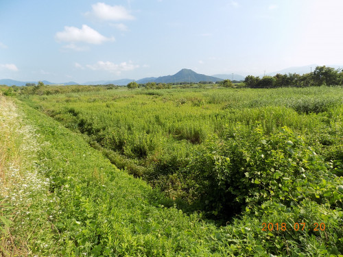 DSCN9916.JPG