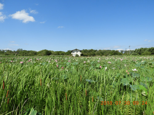 DSCN0434.JPG