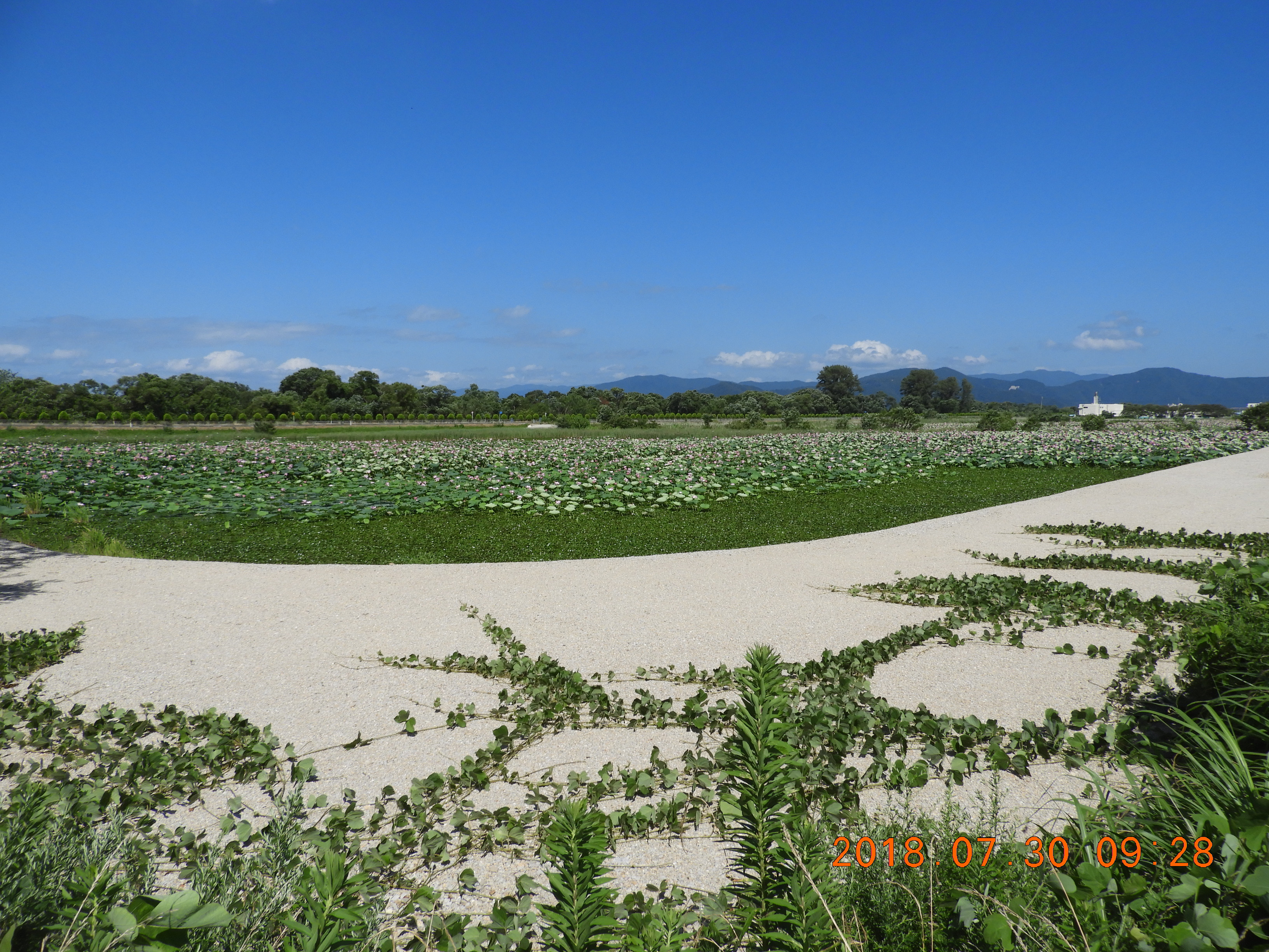 DSCN0437.JPG