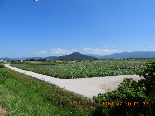 DSCN0441.JPG