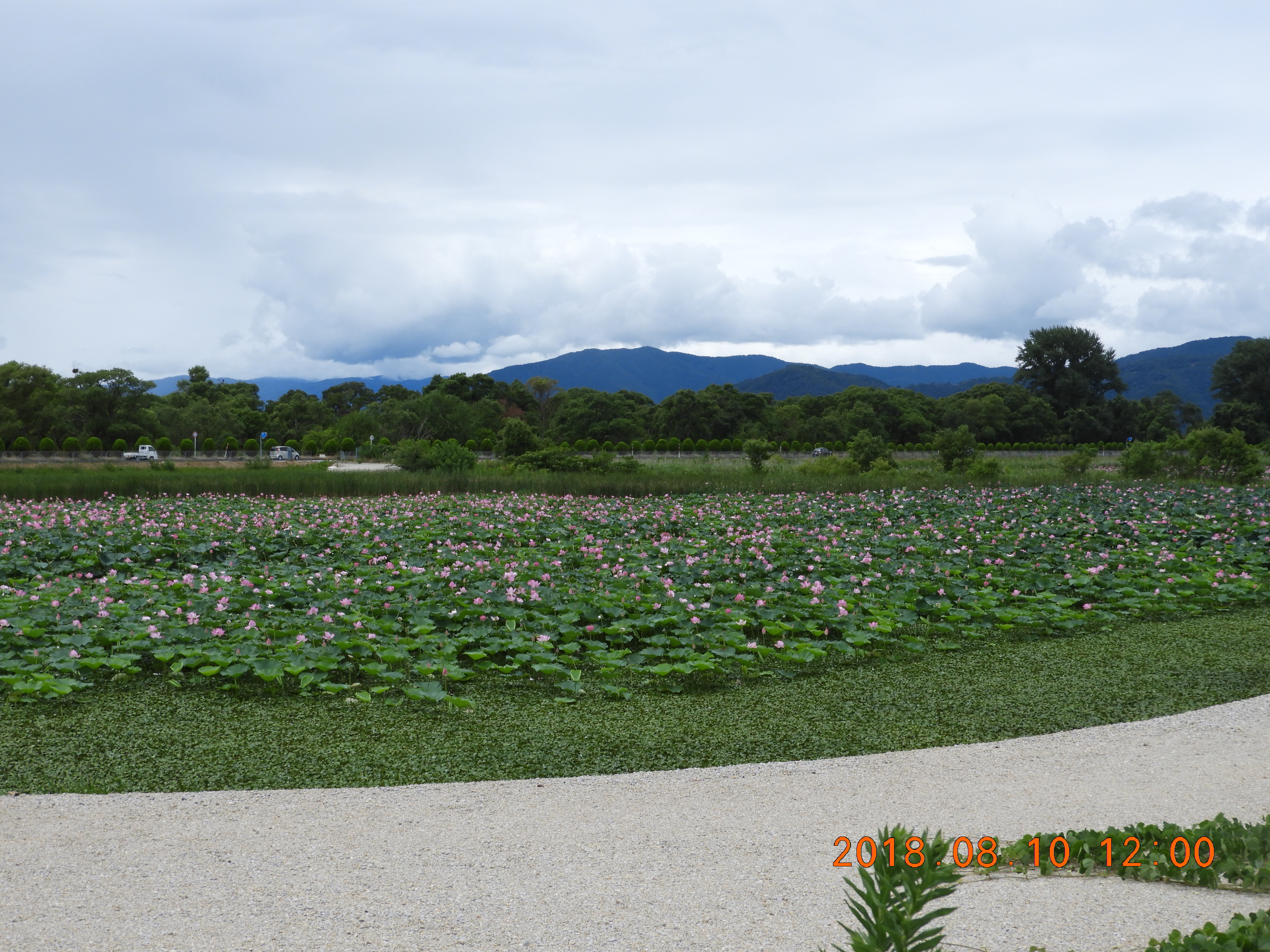 DSCN1059.JPG
