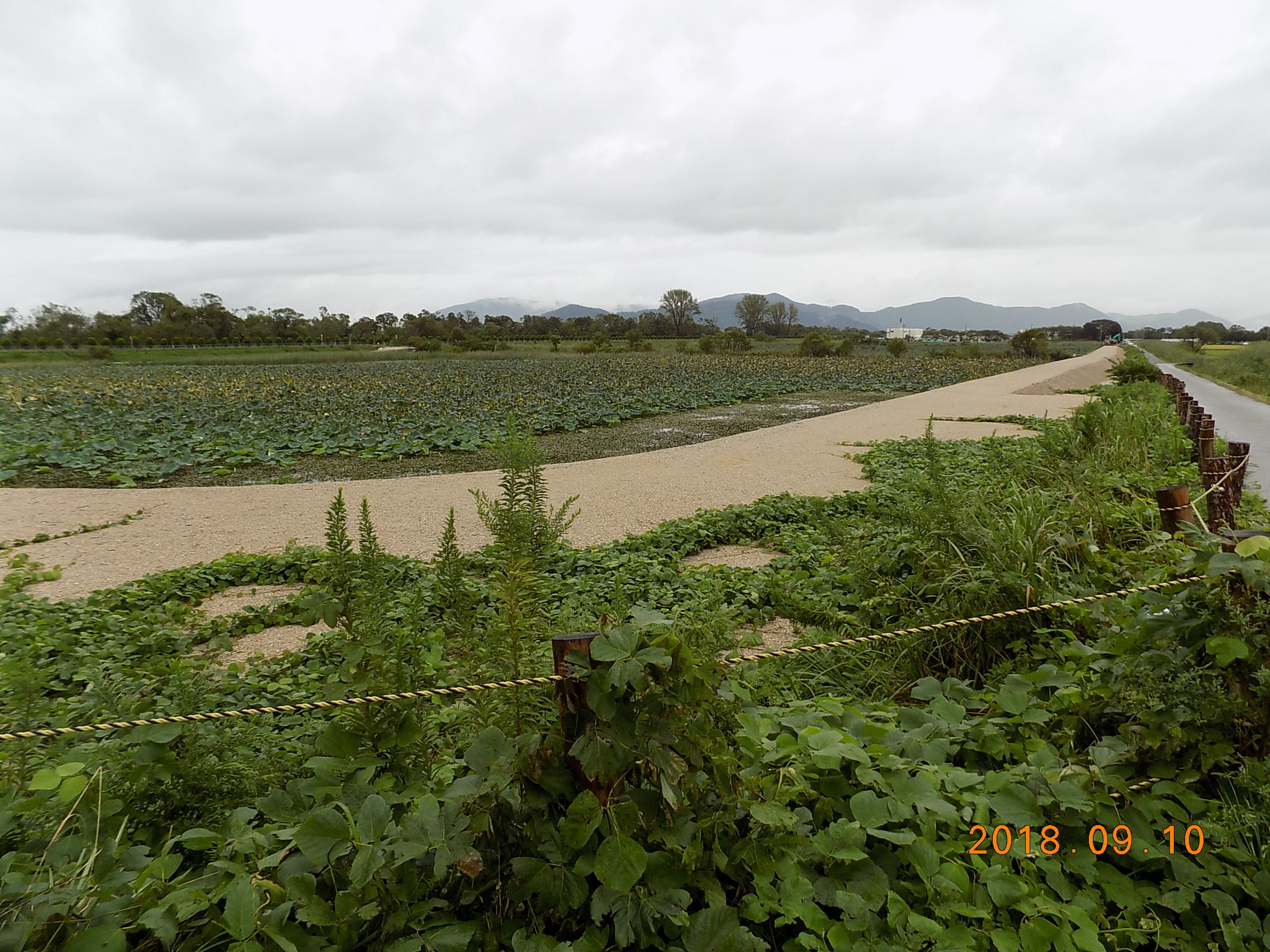 DSCN9937.JPG
