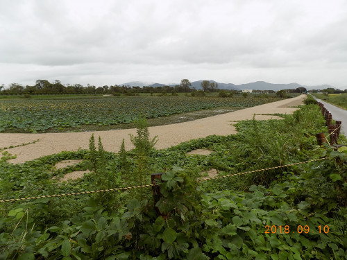 DSCN9937.JPG