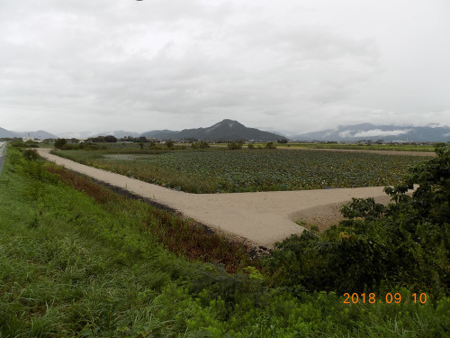 DSCN9940.JPG