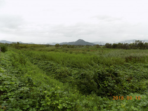 DSCN9941.JPG